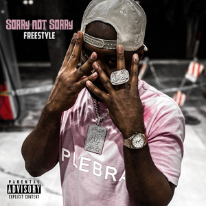 Sorry Not Sorry Freestyle
