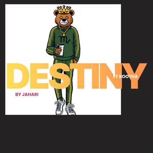 Destiny (feat. Bootha)
