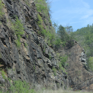 Sirreal (Jam Version)