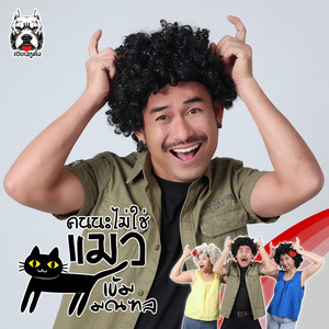 คนนะไม่ใช่แมว