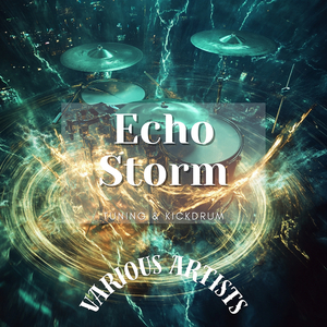 Echo Storm