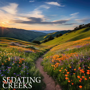 Koshi Chimes & Rain (Pure Nature)