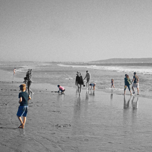 모든게 제 색을 찾았으면