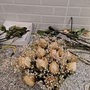 葡萄架下的篝火（翻自 aifujieni）