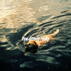 Terrific Ambience for Dogs Taking It Easy