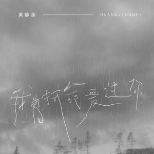 我曾拼命爱过你 (DJ House版)