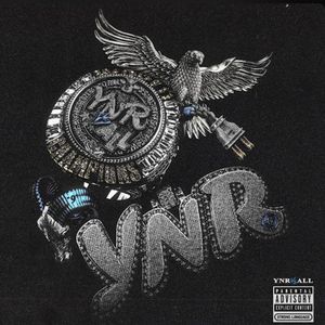 Ynr Type
