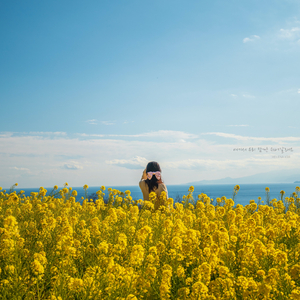 여기서 우리 잠깐 쉬어갈래요