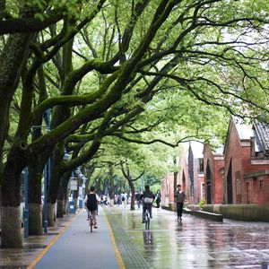 麓山南路的风 cover