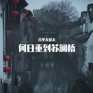 何日重到苏澜桥