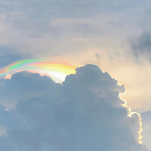 那年的月雨