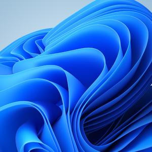 告别往昔枯萎芬芳