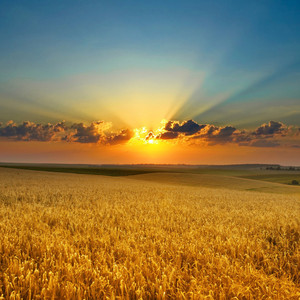 制服を着た女性