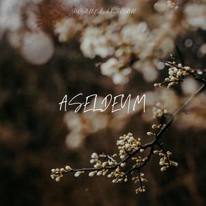 Aseldeym