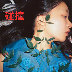 你也想拍陈思江