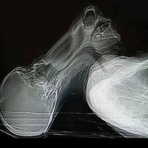 GRIEF / FAITH WAS ON MY SIDE