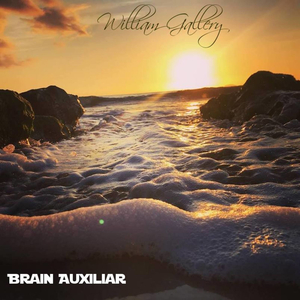 Brain Auxiliar