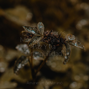 Susurros encantados debajo