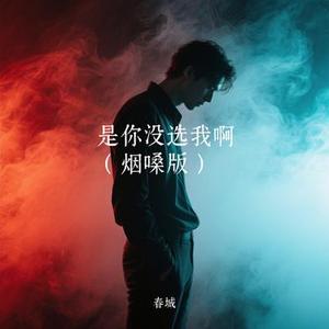 是你没选我啊 (春城 Remix)