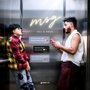 Msg