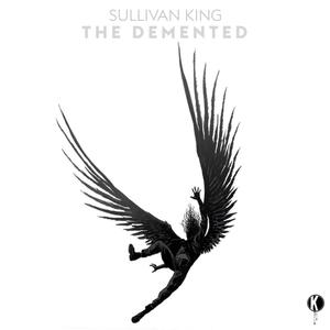 Sullivan King-The Demented (DAVOO Bootleg)（DAVOO/Sullivan King Remix）