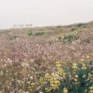 Algae Days
