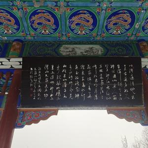 阿海 - 迟来的爱