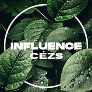 Influence