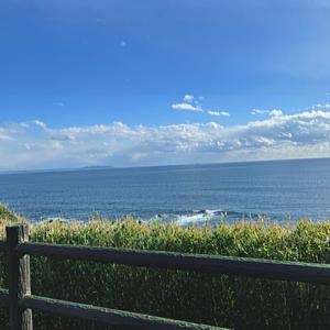 ただ青く (feat. 重音テト)