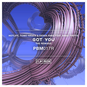 Got You (Steve Reece Remix)