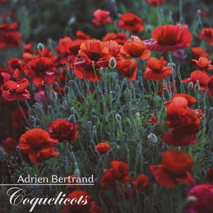 Coquelicots
