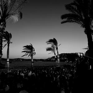 My Roses (feat. Carter Cook)