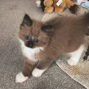 You Are My Joy (slowed)