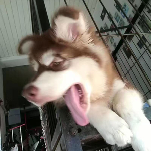 “借朋友名义没收心动权利”