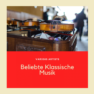 Cello Concerto, in B Minor, Op. 104 : I Allegro