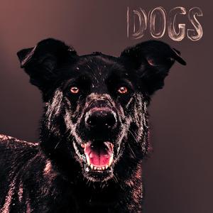 Dogs