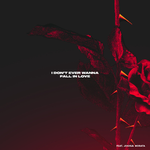 I Don't Ever Wanna Fall In Love