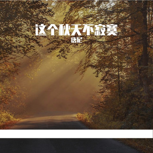 这个秋天不寂寞（上上钢琴版）