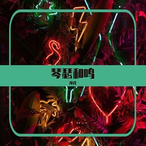 莫扎特阿尔维蒂双手钢琴曲