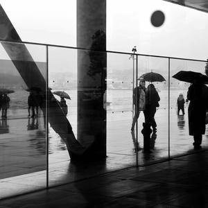 Juramento en Lluvia