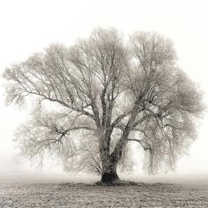 Erinnerung (feat. JayPal & Laura Gortat)