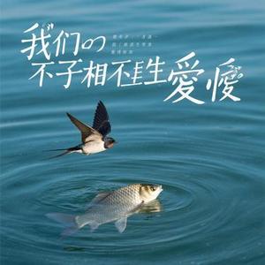 飞鸟爱上了鱼 (寂寞阿梅 Remix)