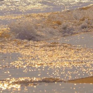 毒药【cover：Zealot周星星（原唱：潘成（皮卡潘））】