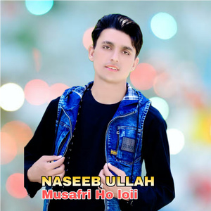 Musafri Ho loii