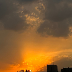 去有风的地方（翻唱）（翻自 谁唱的歌）