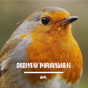 剑影残章下的离殇情长 伴奏