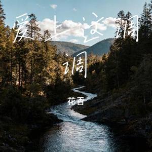 爱上这调调 (Cover 口水歌永兴)