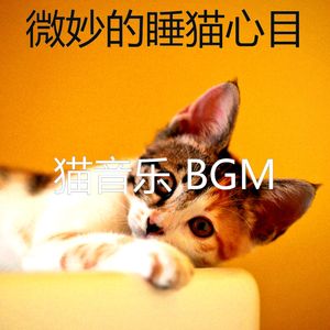 抚慰的睡猫回忆