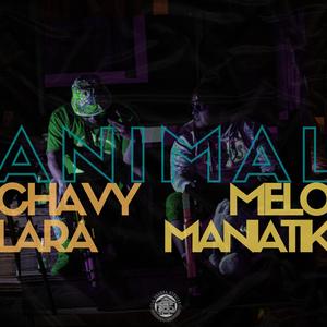 Animal (feat. Melomaniatik)