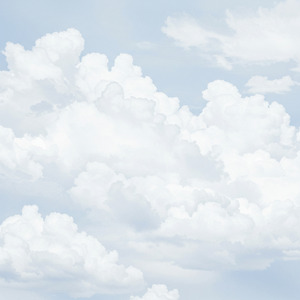 君は一人じゃない